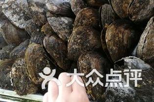 广州南沙区吃瓜,瓜果飘香，品味夏日田园风情