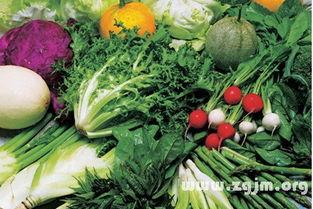 梦见自己吃瓜菜,揭秘梦中吃瓜菜背后的寓意