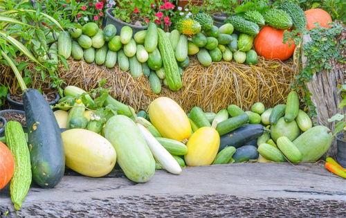 办公室吃瓜有钱吗,揭秘职场中的“财富瓜”