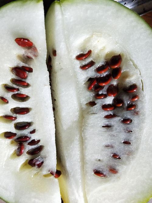 吃榴莲吃瓜还是吃皮,吃瓜还是吃皮，揭秘榴莲美味之谜