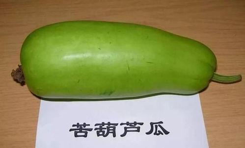 瓜不能一起吃,为何瓜类不宜同食，营养与健康的双重考量