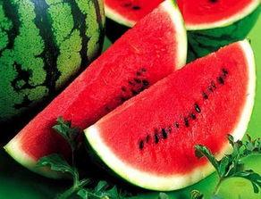 瓜吃西瓜的瓜怎么写,探寻“瓜吃西瓜”的趣味奥秘