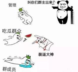 吃瓜群众头像表情包,揭秘吃瓜群众表情包背后的趣味人生
