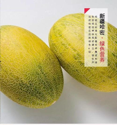 大街吃哈密瓜,哈密瓜的甜蜜诱惑