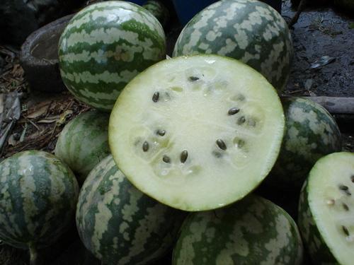 吃绿宝瓜嗓子难受,嗓子不适需注意